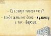     
: IMG_20150318_191433_0.jpg
: 570
:	57.6 
ID:	72665