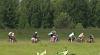     
: IMG_0427.JPG
: 145
:	116.6 
ID:	78234