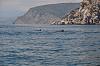     
: DSC_0760.jpg
: 204
:	719.5 
ID:	79357