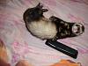     
: DSC00052.jpg
: 735
:	731.6 
ID:	8903