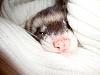     
: DSC00243.jpg
: 661
:	690.3 
ID:	8904