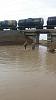     
: IMG-20160306-WA0004.jpg
: 657
:	180.3 
ID:	92276