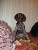     
: DSC01809.jpg
: 184
:	1.01 
ID:	9278