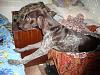     
: DSC01826.jpg
: 198
:	988.1 
ID:	9279