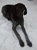     
: DSC01848.jpg
: 203
:	810.5 
ID:	9280