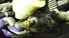     
: 20160519_193016.jpg
: 198
:	992.9 
ID:	96156