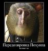     
: 111.jpg
: 1407
:	66.7 
ID:	97073