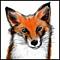   Mr.FOX